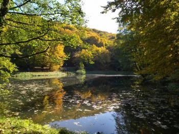 Apátkúti-völgy Visegrád