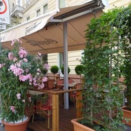 Ape Regina Budapest - Egyéb