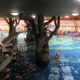 Aqua Palace, Hajdúszoboszló - Egyéb