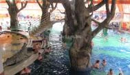 Aqua Palace Hajdúszoboszló - Egyéb
