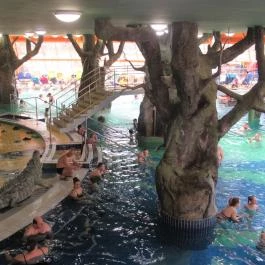 Aqua Palace, Hajdúszoboszló - Egyéb