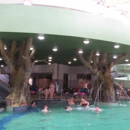 Aqua Palace, Hajdúszoboszló - Egyéb