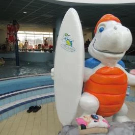 Aqua Palace, Hajdúszoboszló - Egyéb