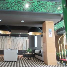 Aquaticum Termál & Wellness Hotel Debrecen - Egyéb