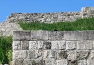 Aquincumi katonai amfiteátrum Budapest