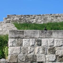 Aquincumi katonai amfiteátrum Budapest - Egyéb