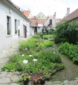 Arany Egyszarvú Patikamúzeum