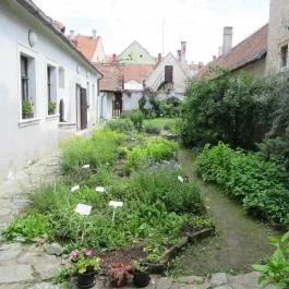 Arany Egyszarvú Patikamúzeum Kőszeg - Egyéb