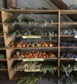 Arany Egyszarvú Patikamúzeum