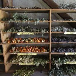 Arany Egyszarvú Patikamúzeum Kőszeg - Egyéb