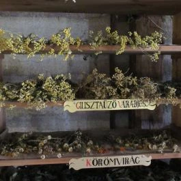 Arany Egyszarvú Patikamúzeum Kőszeg - Egyéb