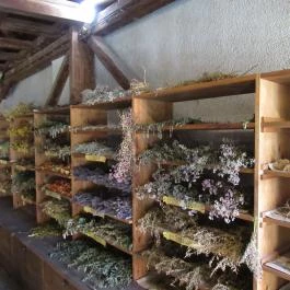 Arany Egyszarvú Patikamúzeum Kőszeg - Egyéb