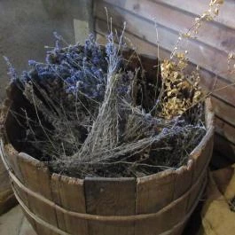 Arany Egyszarvú Patikamúzeum Kőszeg - Egyéb