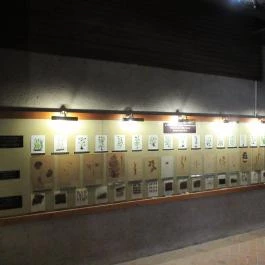 Arany Egyszarvú Patikamúzeum Kőszeg - Egyéb