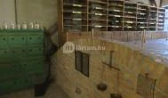 Arany Egyszarvú Patikamúzeum Kőszeg - 
