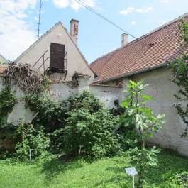 Arany Egyszarvú Patikamúzeum Kőszeg - Egyéb