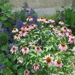 Arany Egyszarvú Patikamúzeum Kőszeg - Egyéb