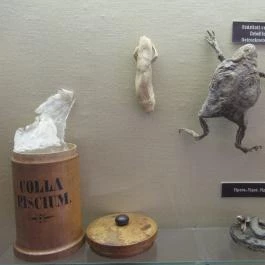 Arany Egyszarvú Patikamúzeum Kőszeg - Egyéb