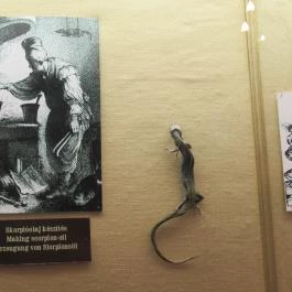 Arany Egyszarvú Patikamúzeum Kőszeg - Egyéb