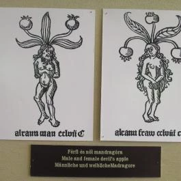 Arany Egyszarvú Patikamúzeum Kőszeg - Egyéb