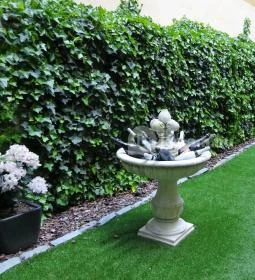 Arany Kaviár Étterem