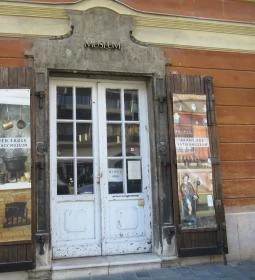 Arany Sas Patikamúzeum