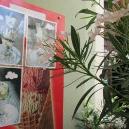 Arany Strucc Cukrászda, Kőszeg - Belső