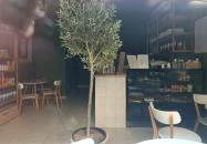 Aranyom Kávézó és Deli Budapest