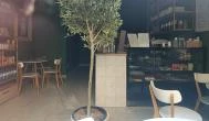 Aranyom Kávézó és Deli Budapest - Belső