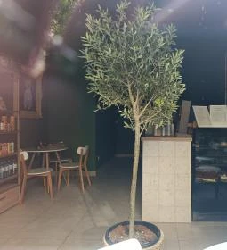 Aranyom Kávézó és Deli