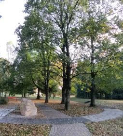 Arborétum parkok Zalakaros