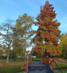 Arborétum parkok Zalakaros