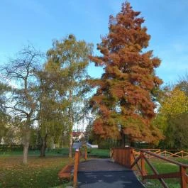 Arborétum parkok Zalakaros, Zalakaros - Egyéb