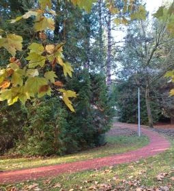 Arborétum parkok Zalakaros