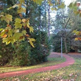 Arborétum parkok Zalakaros, Zalakaros - Egyéb
