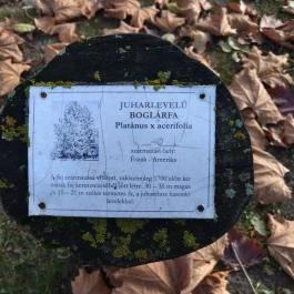 Arborétum parkok Zalakaros, Zalakaros - Egyéb