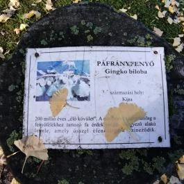 Arborétum parkok Zalakaros, Zalakaros - Egyéb