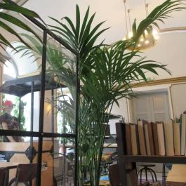 Arch & Beans Coffee Budapest - Belső