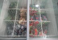 Aréna Bar Alsópáhok