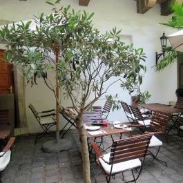 Arioso Kávézó Budapest - Egyéb