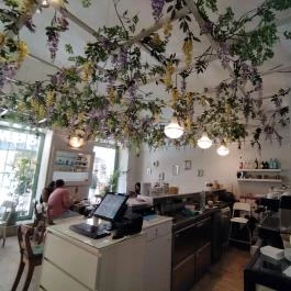 Arioso Kávézó Budapest - Egyéb