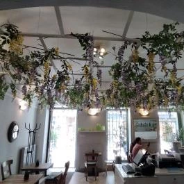 Arioso Kávézó Budapest - Egyéb