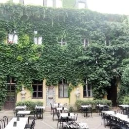 Arquitecto Pitpit Budapest - Belső