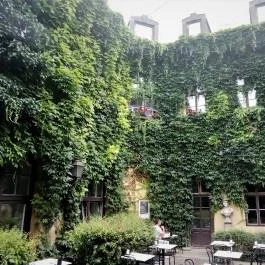 Arquitecto Pitpit Budapest - Belső