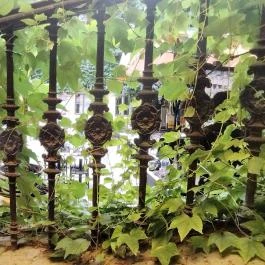 Arquitecto Pitpit Budapest - Belső