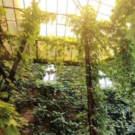 Arquitecto Pitpit Budapest - Belső