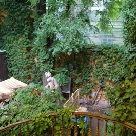 Arquitecto Pitpit Budapest - Belső