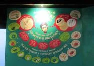 Arriba Taqueria - Bartók Béla Budapest