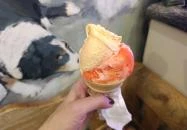 Artigiana Gelati Fagylaltozó Budapest