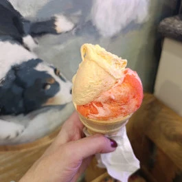 Artigiana Gelati Fagylaltozó Budapest - Étel/ital